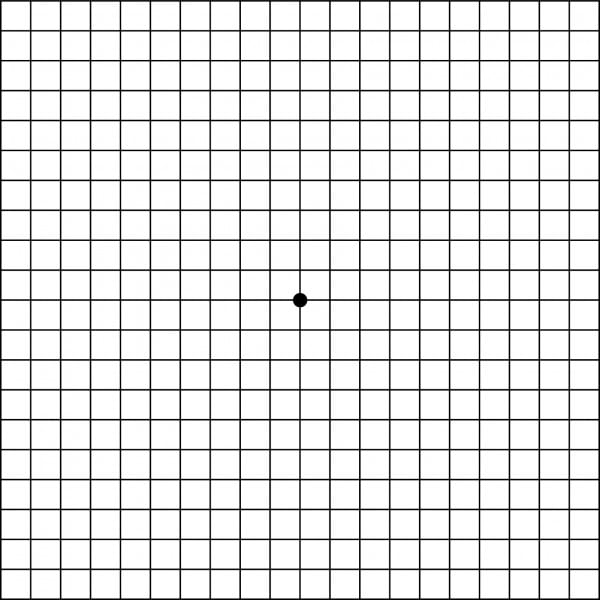 Amsler Grid Eye Test Chart