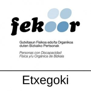 Etxegoki