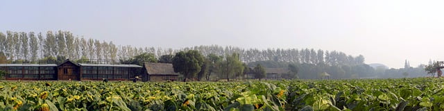 Rural area China
