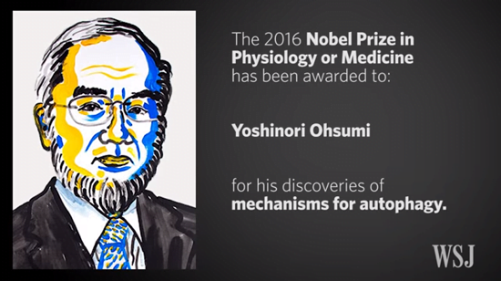 Nobel Prize in Physics or Medicine