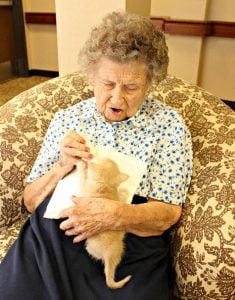 retirement-home-shelter-cats