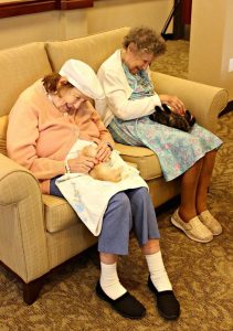 retirement-home-shelter-cats