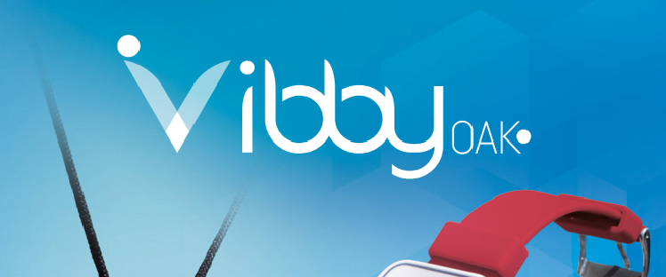 Vibby Oak Vitalbase - Fall detection