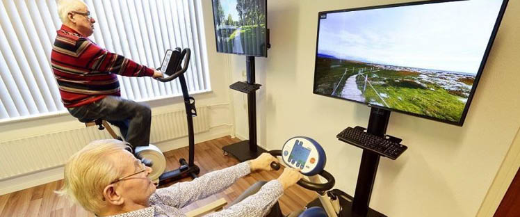 SilverFit Mile - Une